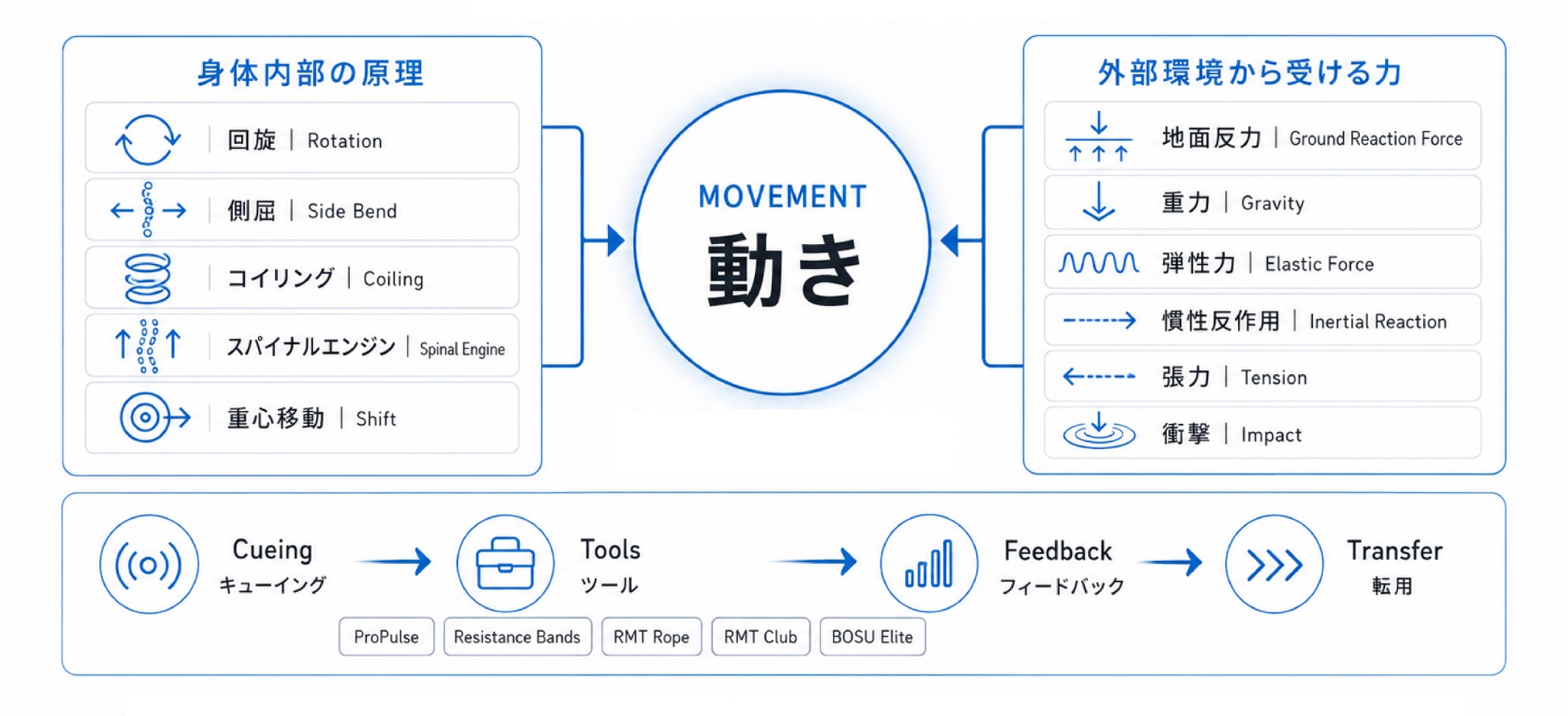 WeckMethodの動きの原理原則。回旋・側屈・コイリング・重心移動と外力、Cueing・Tools・Feedback・Transferの関係