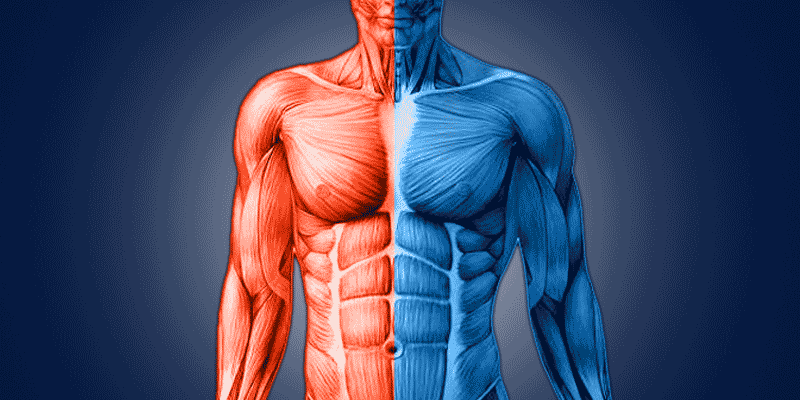 身体の左右差を比較するNon-Dominant Side Trainingのコンセプトイメージ